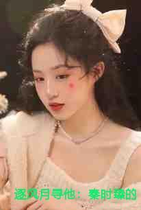 逐风月寻他:秦时臻的小说