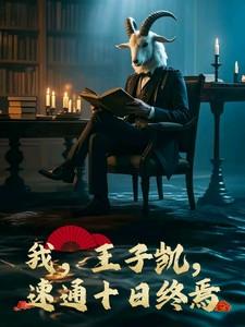 我，王子凯，速通十日终焉